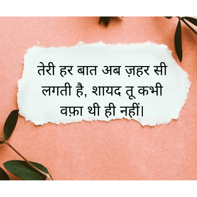 तेरी हर बात अब ज़हर सी
लगती है, शायद तू कभी
वफ़ा थी ही नहीं।