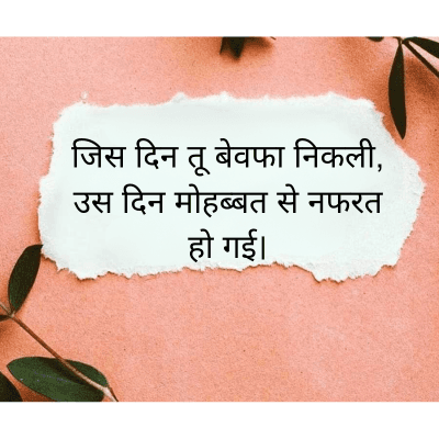 जिस दिन तू बेवफा निकली,
उस दिन मोहब्बत से नफरत
हो गई।
