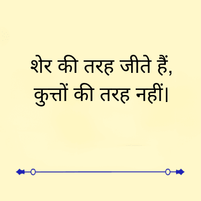 शेर की तरह जीते हैं,
कुत्तों की तरह नहीं।